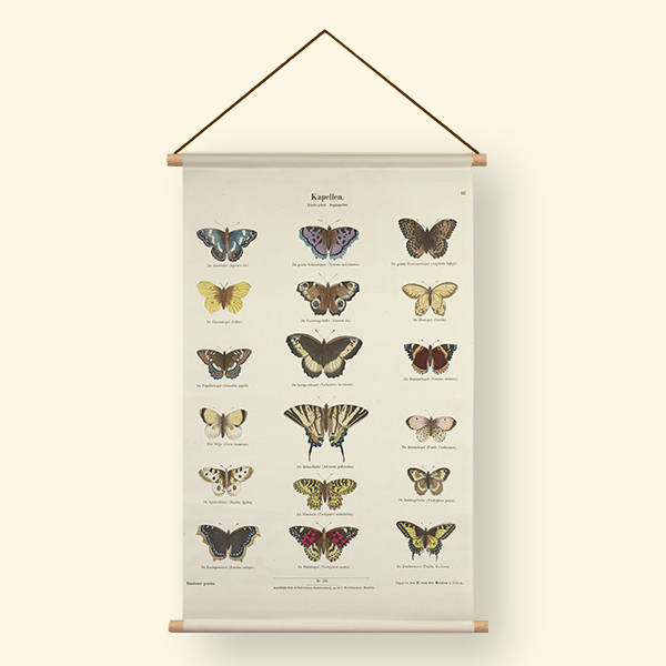 Textielposter vlinder overzicht