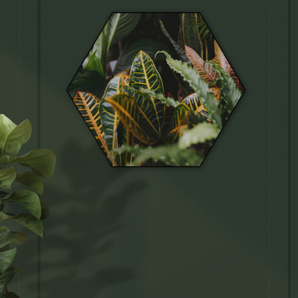 Akoestische hexagon groene bladeren