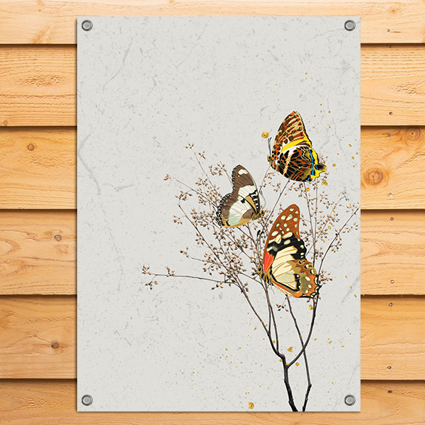 Tuinposter butterfly